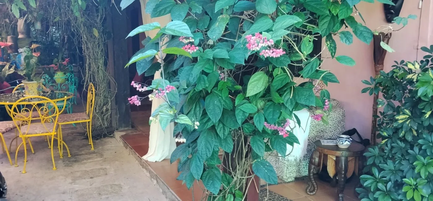 Nosso jardim